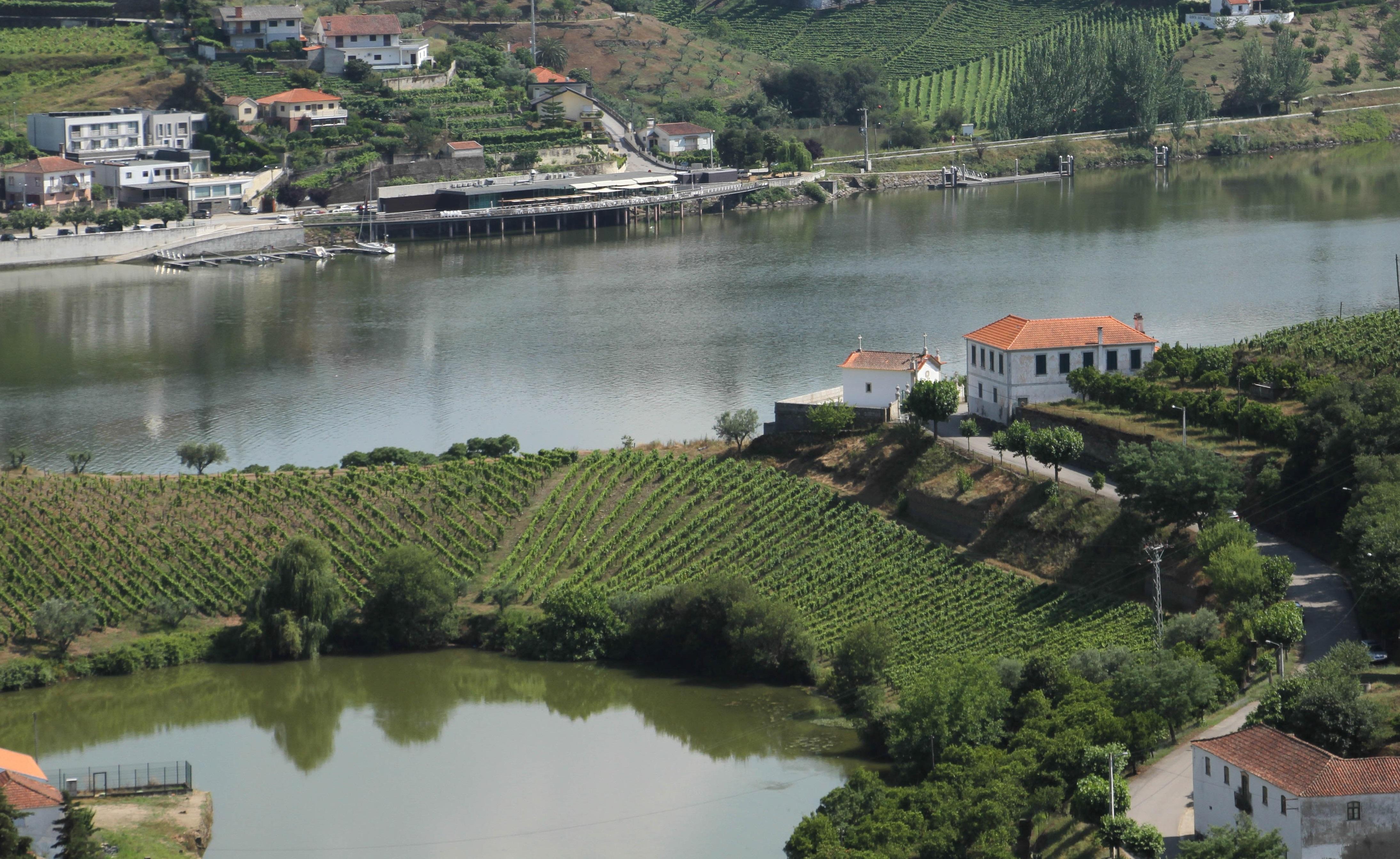 Hotel Folgosa Douro Armamar Exterior foto